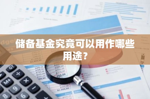 储备基金究竟可以用作哪些用途？