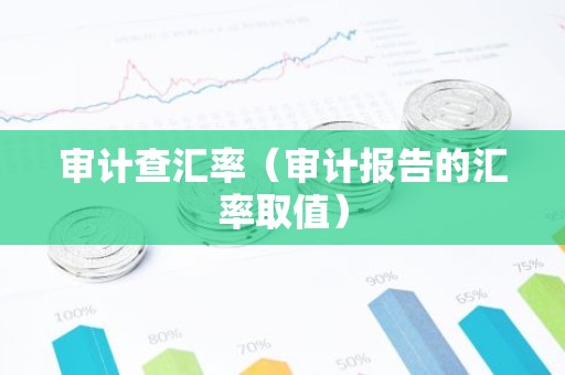 审计查汇率（审计报告的汇率取值）