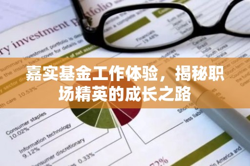嘉实基金工作体验，揭秘职场精英的成长之路
