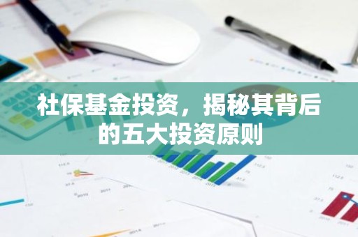 社保基金投资，揭秘其背后的五大投资原则