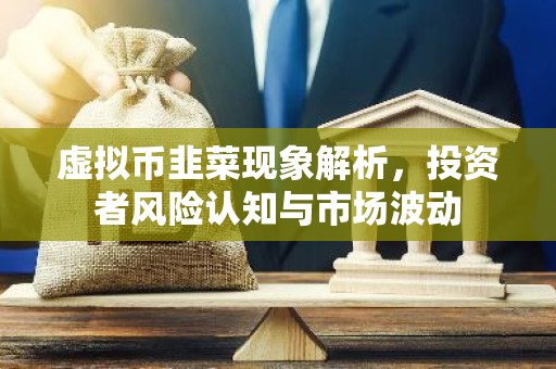 虚拟币韭菜现象解析，投资者风险认知与市场波动