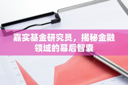 嘉实基金研究员，揭秘金融领域的幕后智囊