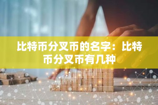 比特币分叉币的名字：比特币分叉币有几种