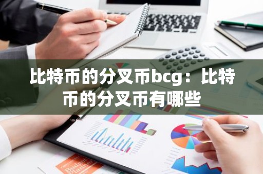 比特币的分叉币bcg：比特币的分叉币有哪些