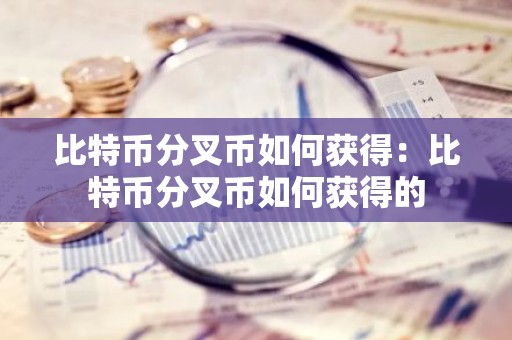 比特币分叉币如何获得：比特币分叉币如何获得的