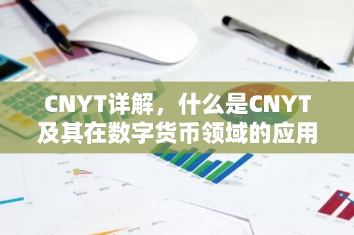 CNYT详解，什么是CNYT及其在数字货币领域的应用