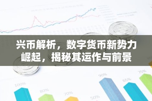 兴币解析，数字货币新势力崛起，揭秘其运作与前景