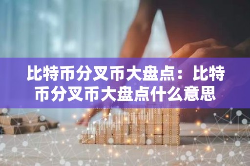 比特币分叉币大盘点：比特币分叉币大盘点什么意思