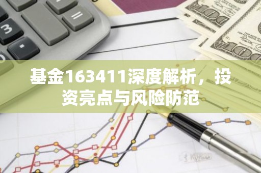 基金163411深度解析，投资亮点与风险防范