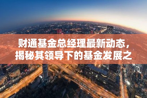财通基金总经理最新动态，揭秘其领导下的基金发展之路