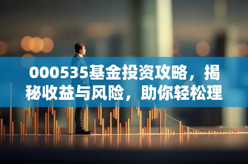 000535基金投资攻略，揭秘收益与风险，助你轻松理财