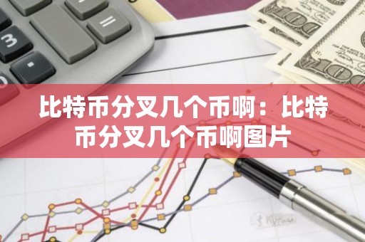 比特币分叉几个币啊：比特币分叉几个币啊图片