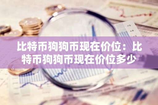比特币狗狗币现在价位：比特币狗狗币现在价位多少