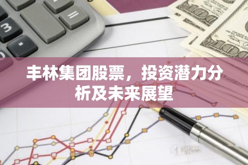 丰林集团股票，投资潜力分析及未来展望
