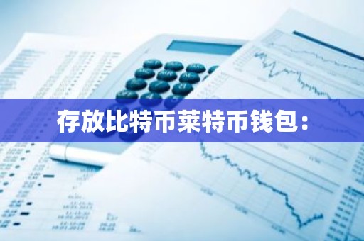 存放比特币莱特币钱包：