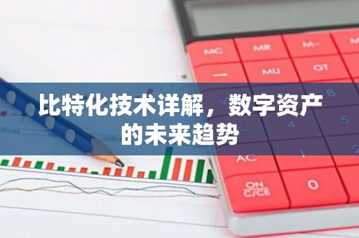 比特化技术详解，数字资产的未来趋势