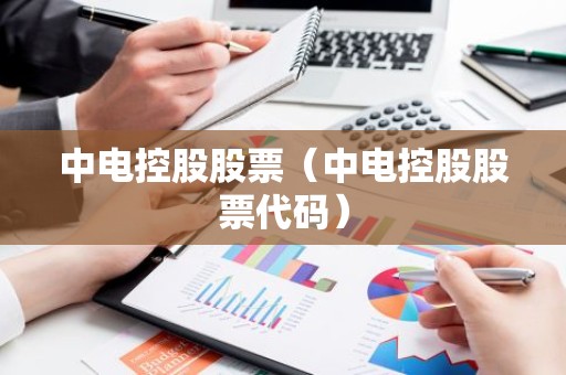 中电控股股票（中电控股股票代码）
