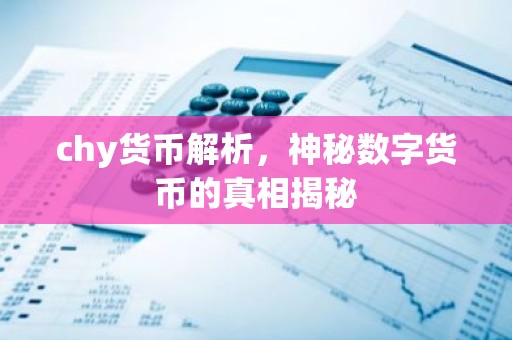 chy货币解析，神秘数字货币的真相揭秘
