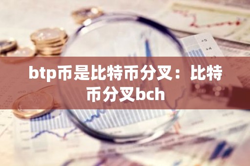 btp币是比特币分叉：比特币分叉bch