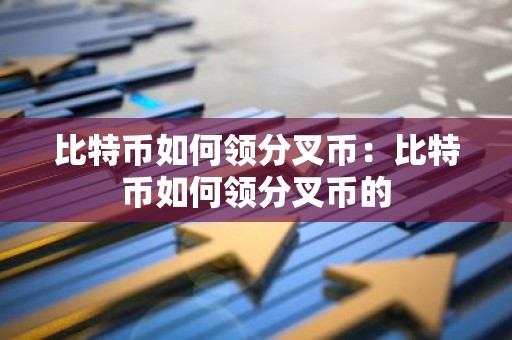 比特币如何领分叉币：比特币如何领分叉币的