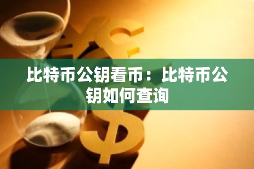 比特币公钥看币：比特币公钥如何查询
