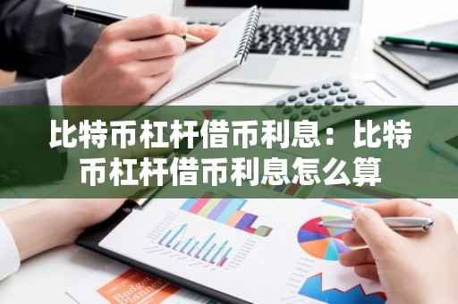 比特币杠杆借币利息：比特币杠杆借币利息怎么算