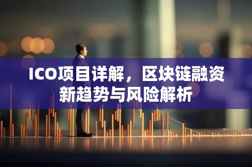 ICO项目详解，区块链融资新趋势与风险解析