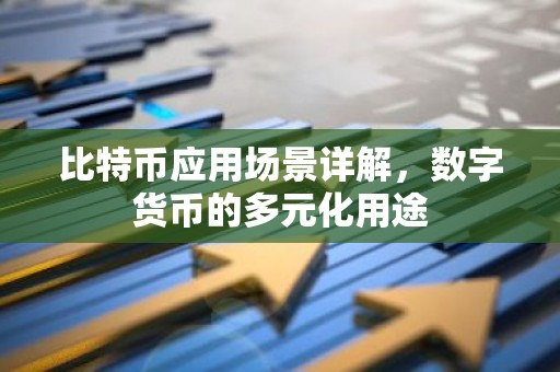 比特币应用场景详解，数字货币的多元化用途