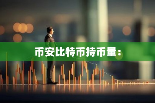 币安比特币持币量：