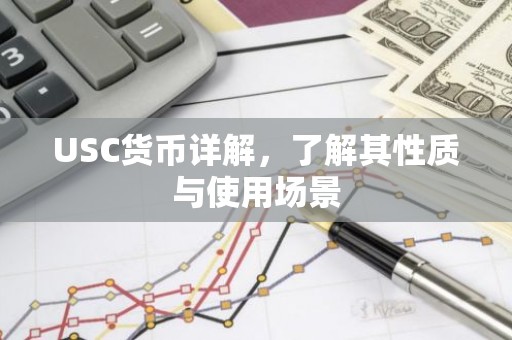 USC货币详解，了解其性质与使用场景