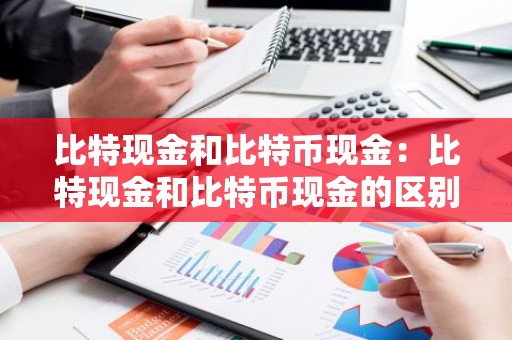 比特现金和比特币现金：比特现金和比特币现金的区别