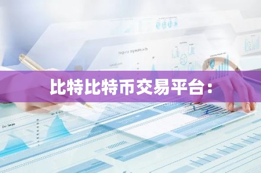 比特比特币交易平台：