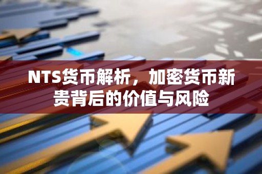 NTS货币解析，加密货币新贵背后的价值与风险