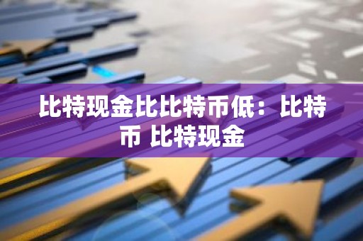 比特现金比比特币低：比特币 比特现金