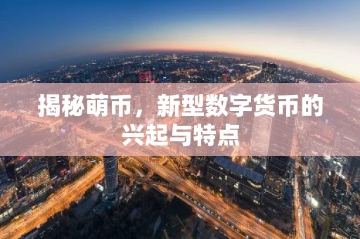 揭秘萌币，新型数字货币的兴起与特点