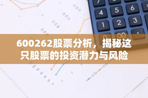 600262股票分析，揭秘这只股票的投资潜力与风险