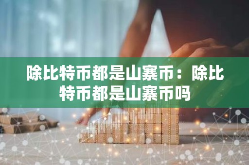 除比特币都是山寨币：除比特币都是山寨币吗