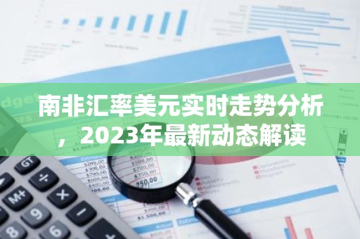 南非汇率美元实时走势分析，2023年最新动态解读
