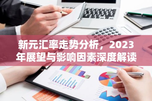 新元汇率走势分析，2023年展望与影响因素深度解读