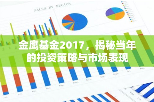 金鹰基金2017，揭秘当年的投资策略与市场表现