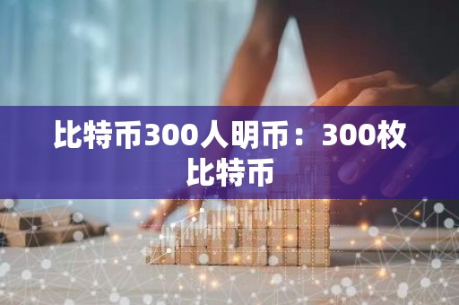 比特币300人明币：300枚比特币