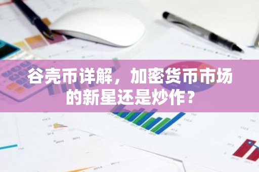 谷壳币详解，加密货币市场的新星还是炒作？