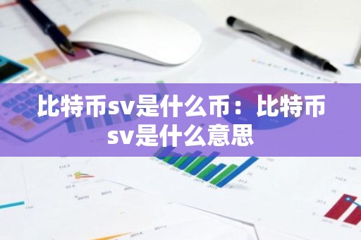 比特币sv是什么币：比特币sv是什么意思