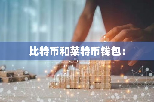 比特币和莱特币钱包：