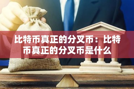 比特币真正的分叉币：比特币真正的分叉币是什么