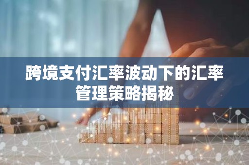 跨境支付汇率波动下的汇率管理策略揭秘