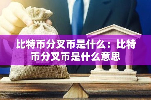 比特币分叉币是什么：比特币分叉币是什么意思
