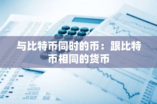 与比特币同时的币：跟比特币相同的货币