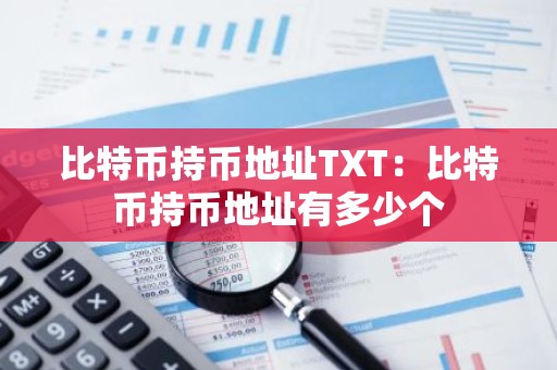 比特币持币地址TXT：比特币持币地址有多少个