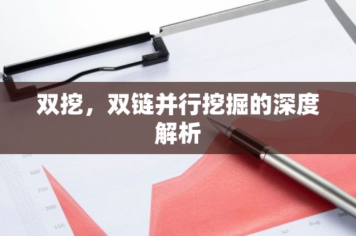 双挖，双链并行挖掘的深度解析